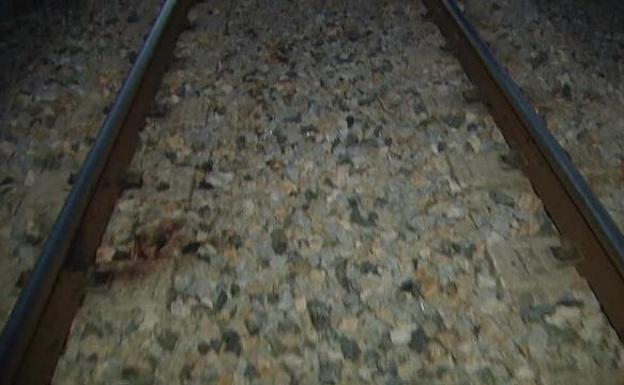 La vía férrea de Toledo donde un niño ha muerto arrollado no disponía de medidas de seguridad