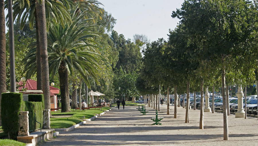 Paseo de la Alameda