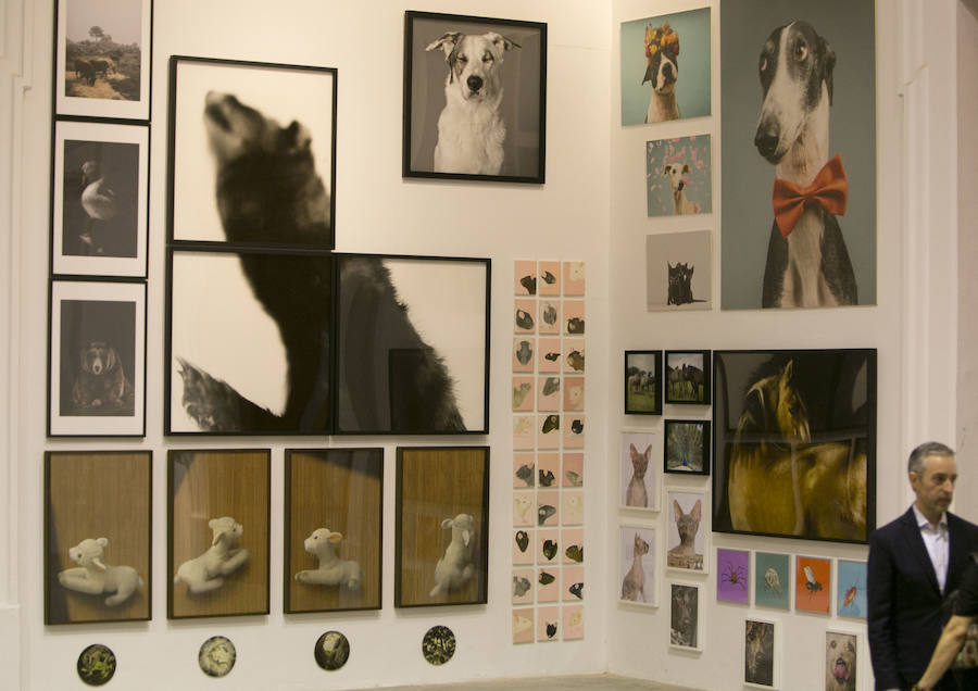 Fotos de la exposición Valencia Capital Animal