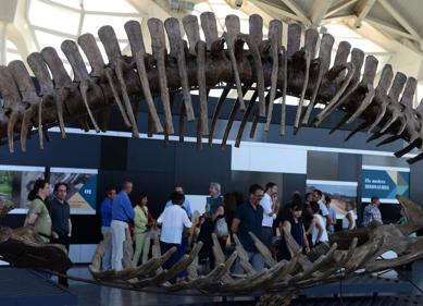 Imagen secundaria 1 - Detalle de la exposición de dinosaurios del Museo de las Ciencias. 