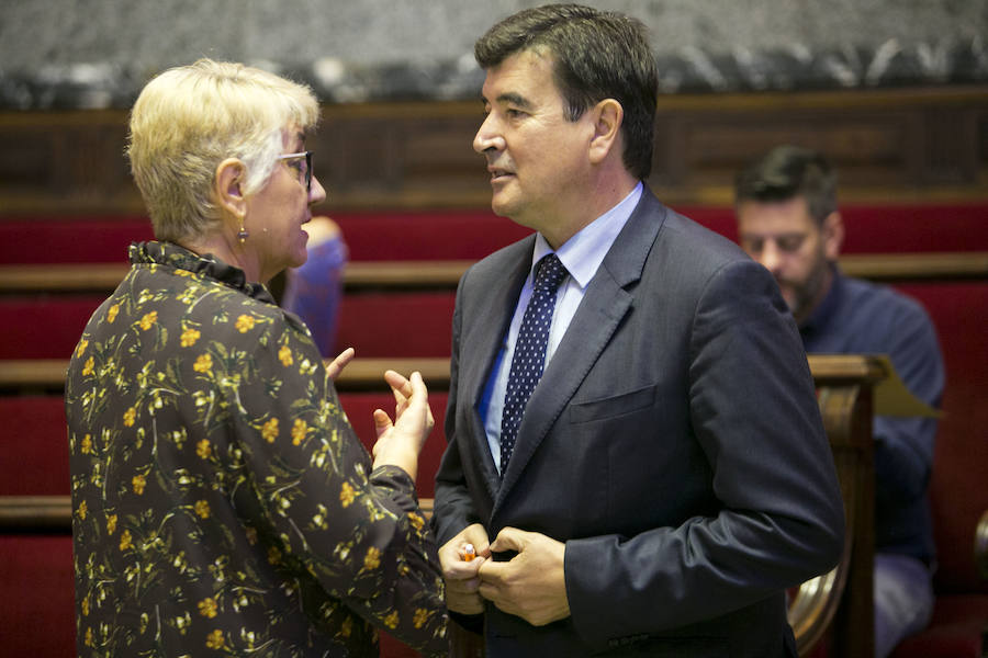 Fotos del pleno del Ayuntamiento