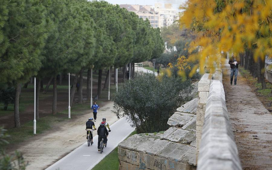 Fotos del Jardín del Turía