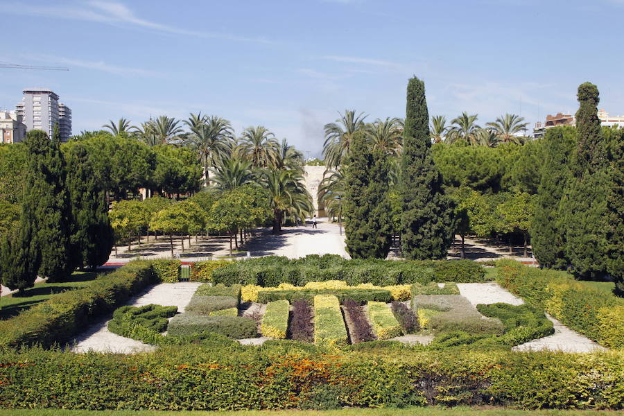 Fotos del Jardín del Turía