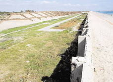 Regeneración dunar en terrenos del polideportivo, con restos del muro a la derecha.