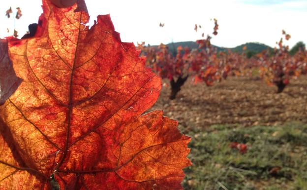 Imagen principal - Una escapada perfecta para finales de octubre en Valencia