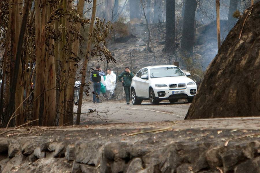 Fotos de la destrucción y la devastación provocada por los incendios forestales incontrolados en Galicia. 