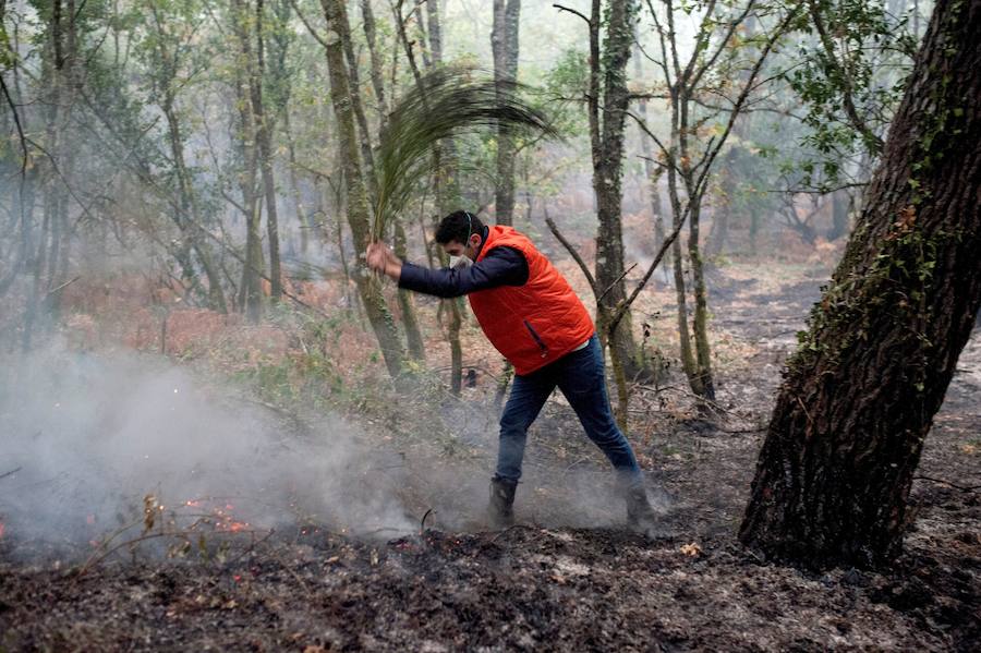 Fotos de la destrucción y la devastación provocada por los incendios forestales incontrolados en Galicia. 