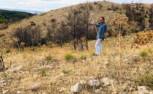 Sean Damant, vecino de Carcaixent, señala una zona arrasada por el incendio intencionado. 