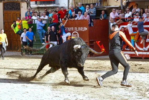 Espectacular la presentación del toro de Montalvo que abrió la Fira d'Onda el pasado sábado. 