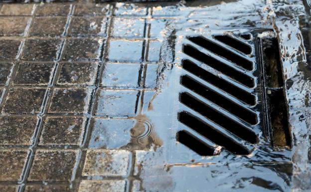 Una bacteria de la gastritis sobrevive en agua potable y residual en la ameba