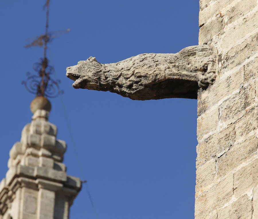 Otra de las esculturas que forman parte de la fachada de la Catedral de Valencia es la de un animal con forma de lobo. Esta gárgola zoomórfica se encuentra en la cornisa de la portada de la Almoina. 