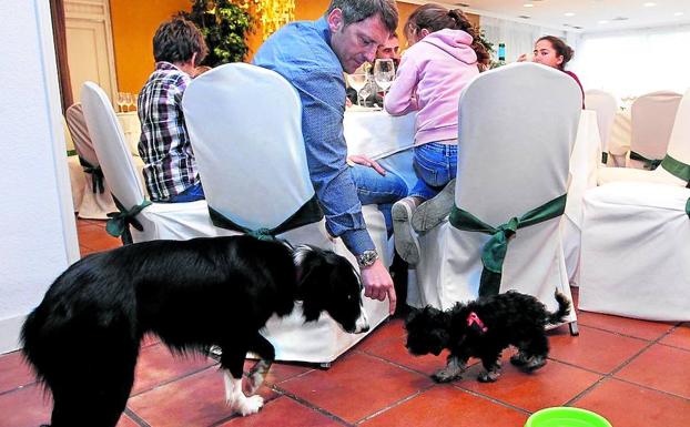 Dos perros, en el restaurante El Caserón (Vitoria) , anfitrión de la guía Dog Vivant.