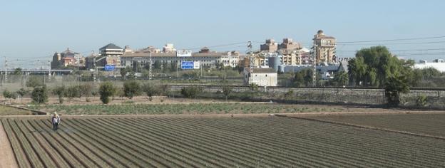 Huerta de Alboraya con Port Saplaya al fondo de la imagen. 