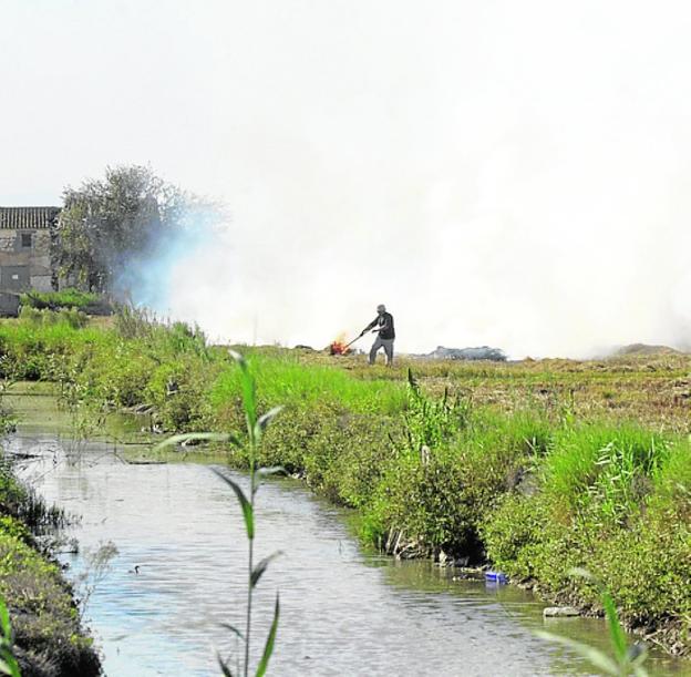 Sanidad. Con la quema de la paja del arroz, además de eliminar el residuo del cultivo se combaten restos de plagas y de malas hierbas. 