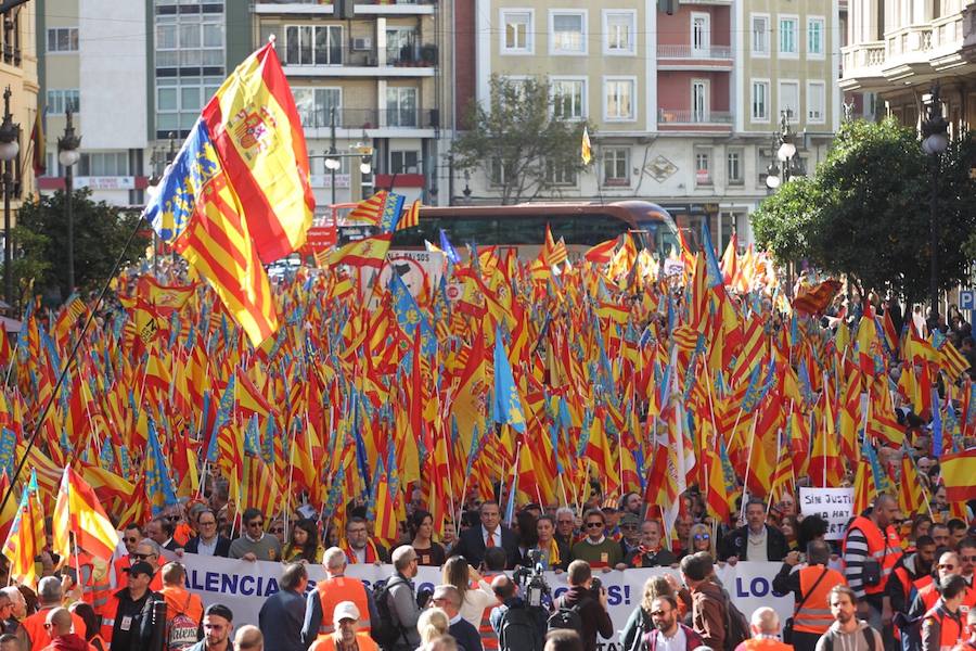 Fotos de la manifestación valencianista en Valencia