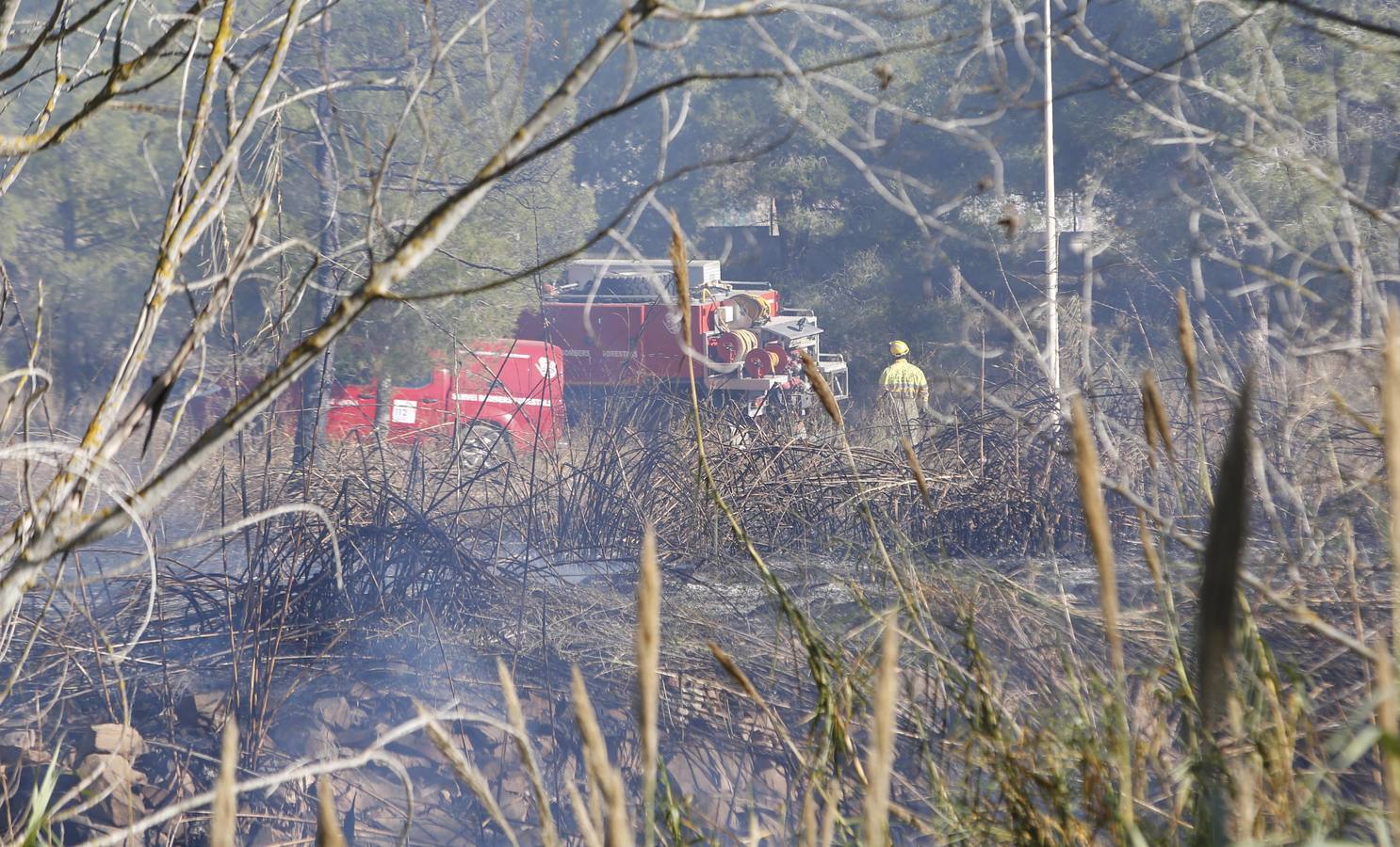 Fotos del incendio en Riba-roja que ha obligado a desalojar varios chalés