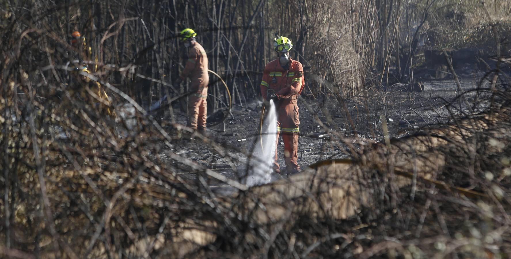 Fotos del incendio en Riba-roja que ha obligado a desalojar varios chalés