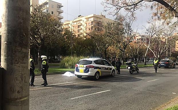 Varón atropellado en la avenida Blasco Ibáñez de Valencia.