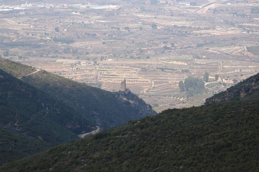 Fotos del municipio de Carrícola