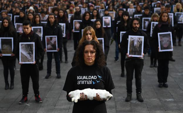 Manifestación en la madrileña Puerta del Sol contra el maltrato animal.