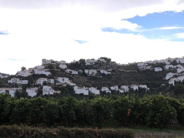Varias viviendas de la urbanización de Monte Pego. 