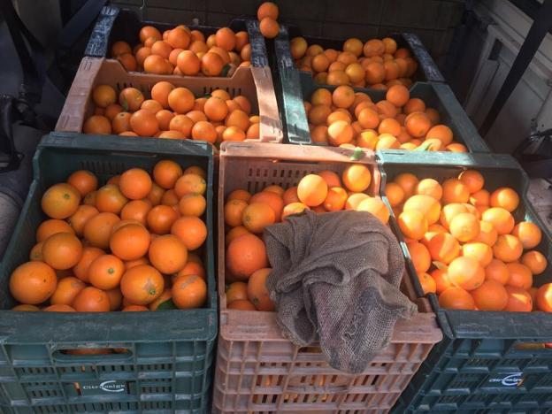 Naranjas requisadas gracias a la localización del dron. 