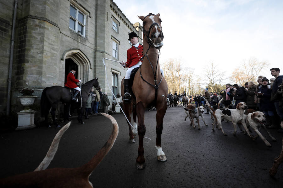 El 26 de diciembre es una fecha señalada y polémica en Reino Unido. Se celebra el 'Boxing Day'. Este día, cientos de cazadores se dan cita en todo el país para la jornada más agitada del calendario: la caza del zorro. 