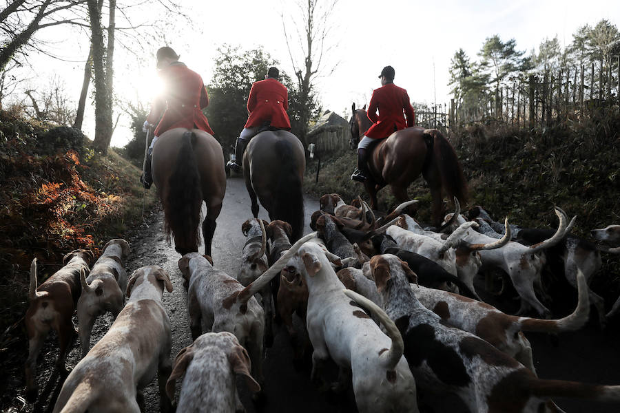 El 26 de diciembre es una fecha señalada y polémica en Reino Unido. Se celebra el 'Boxing Day'. Este día, cientos de cazadores se dan cita en todo el país para la jornada más agitada del calendario: la caza del zorro. 