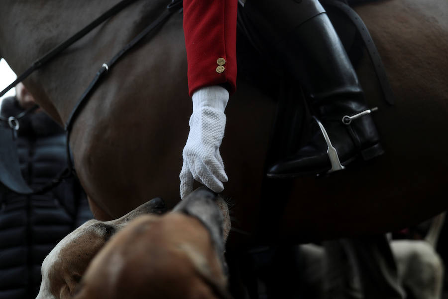 El 26 de diciembre es una fecha señalada y polémica en Reino Unido. Se celebra el 'Boxing Day'. Este día, cientos de cazadores se dan cita en todo el país para la jornada más agitada del calendario: la caza del zorro. 