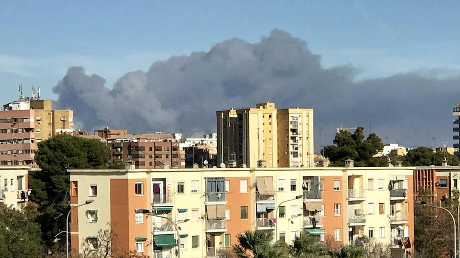 Fotos del incendio en la Marjal dels Moros en Sagunto