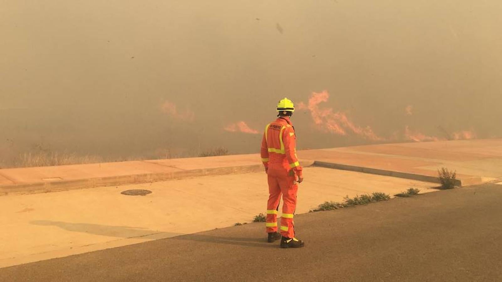 Fotos del incendio en la Marjal dels Moros en Sagunto