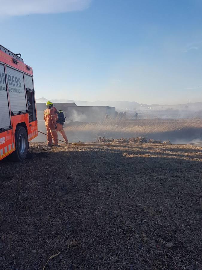 Fotos del incendio en la Marjal dels Moros en Sagunto