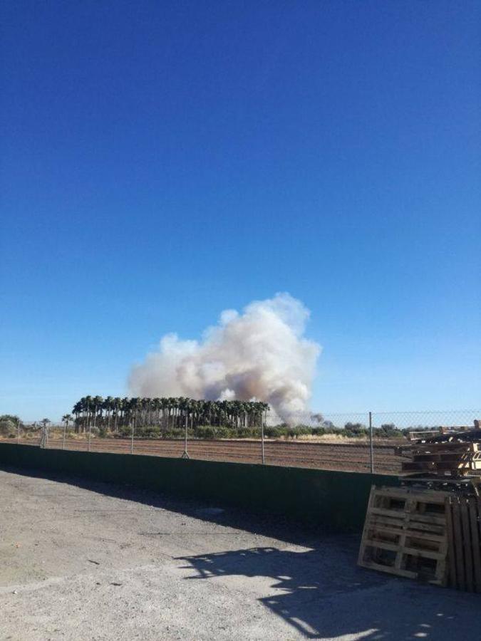 Fotos del incendio en la Marjal dels Moros en Sagunto