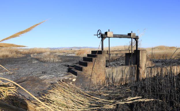 Estado del Marjal dels Moros tras el incendio.