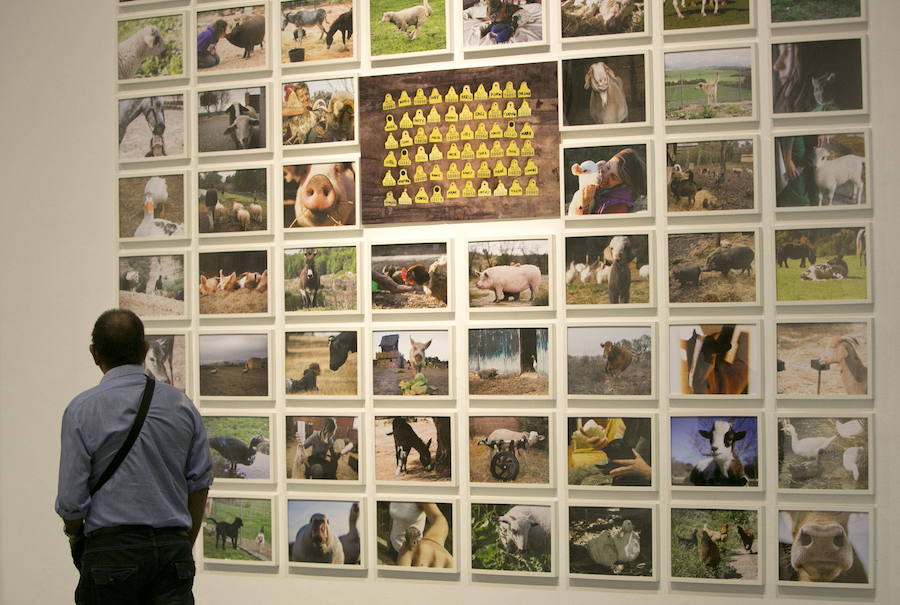 4. Centro del Carmen: En el antiguo Convento del Carmen se halla el Centre del Carme Cultura Contemporània de Valencia, que cerró el año 2017 con un total de 182.658 visitantes, lo que supone un incremento del 140% con respecto al año anterior, más del doble que en 2016. El año pasado dejó de cobrar entrada. 