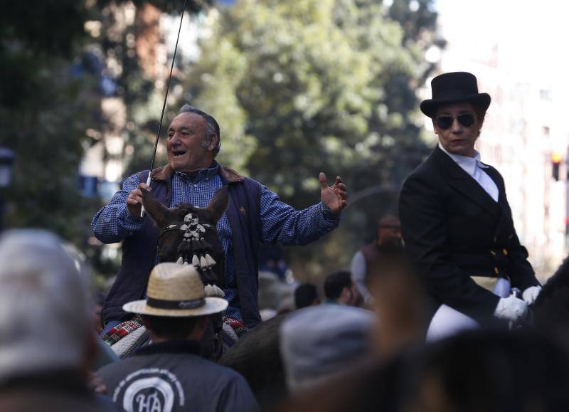 La calle Sagunto es, desde primera hora de la mañana, el epicentro de la celebración de la festividad de San Antonio Abad en la ciudad de Valencia. Perros, gatos, loros, hurones, tortugas o conejos son algunos de los animales que desde las 12.00 horas reciben la bendición en el acto organizado por la Hermandad de San Antonio Abad. El primero en recibir el agua bendita ha sido Currito, la mascota de Vicenta Cerveró, de Campanar. “Vengo desde hace cinco años con él, desde que lo saqué de la protectora de animales”, relata. Los participantes en el desfile, que cerrarán las caballerías, reciben garrofetes y panes bendecidos, además de una estampa de San Antonio Abad. Algunos de los asistentes han llegado a las ocho de la mañana para ser de los primeros en pasar.