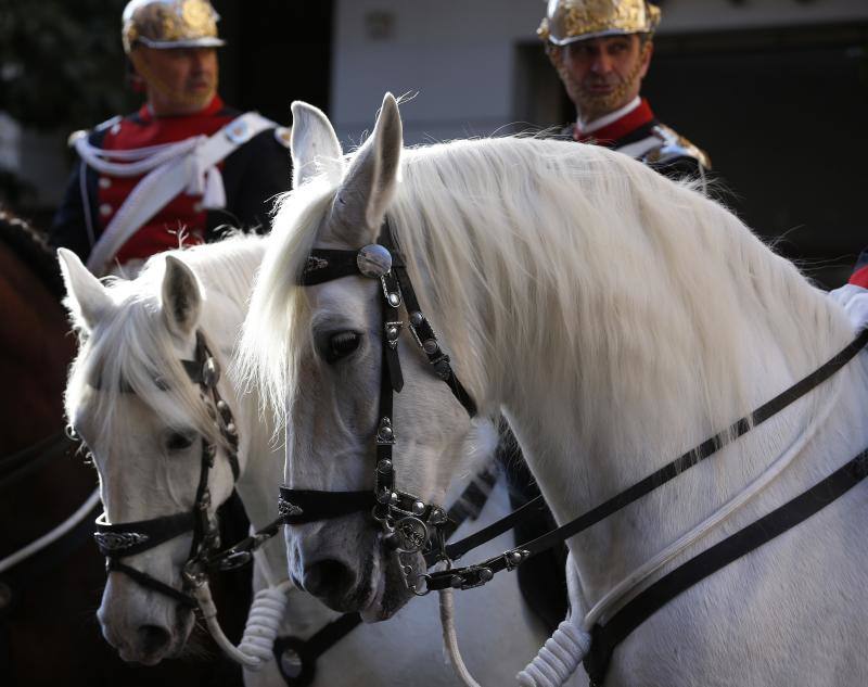 La calle Sagunto es, desde primera hora de la mañana, el epicentro de la celebración de la festividad de San Antonio Abad en la ciudad de Valencia. Perros, gatos, loros, hurones, tortugas o conejos son algunos de los animales que desde las 12.00 horas reciben la bendición en el acto organizado por la Hermandad de San Antonio Abad. El primero en recibir el agua bendita ha sido Currito, la mascota de Vicenta Cerveró, de Campanar. “Vengo desde hace cinco años con él, desde que lo saqué de la protectora de animales”, relata. Los participantes en el desfile, que cerrarán las caballerías, reciben garrofetes y panes bendecidos, además de una estampa de San Antonio Abad. Algunos de los asistentes han llegado a las ocho de la mañana para ser de los primeros en pasar.