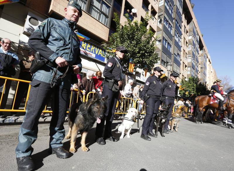 La calle Sagunto es, desde primera hora de la mañana, el epicentro de la celebración de la festividad de San Antonio Abad en la ciudad de Valencia. Perros, gatos, loros, hurones, tortugas o conejos son algunos de los animales que desde las 12.00 horas reciben la bendición en el acto organizado por la Hermandad de San Antonio Abad. El primero en recibir el agua bendita ha sido Currito, la mascota de Vicenta Cerveró, de Campanar. “Vengo desde hace cinco años con él, desde que lo saqué de la protectora de animales”, relata. Los participantes en el desfile, que cerrarán las caballerías, reciben garrofetes y panes bendecidos, además de una estampa de San Antonio Abad. Algunos de los asistentes han llegado a las ocho de la mañana para ser de los primeros en pasar.