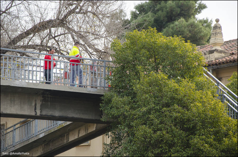 Fotos del cierre de dos de las cinco pasarelas de la avenida del Cid para su desmontaje