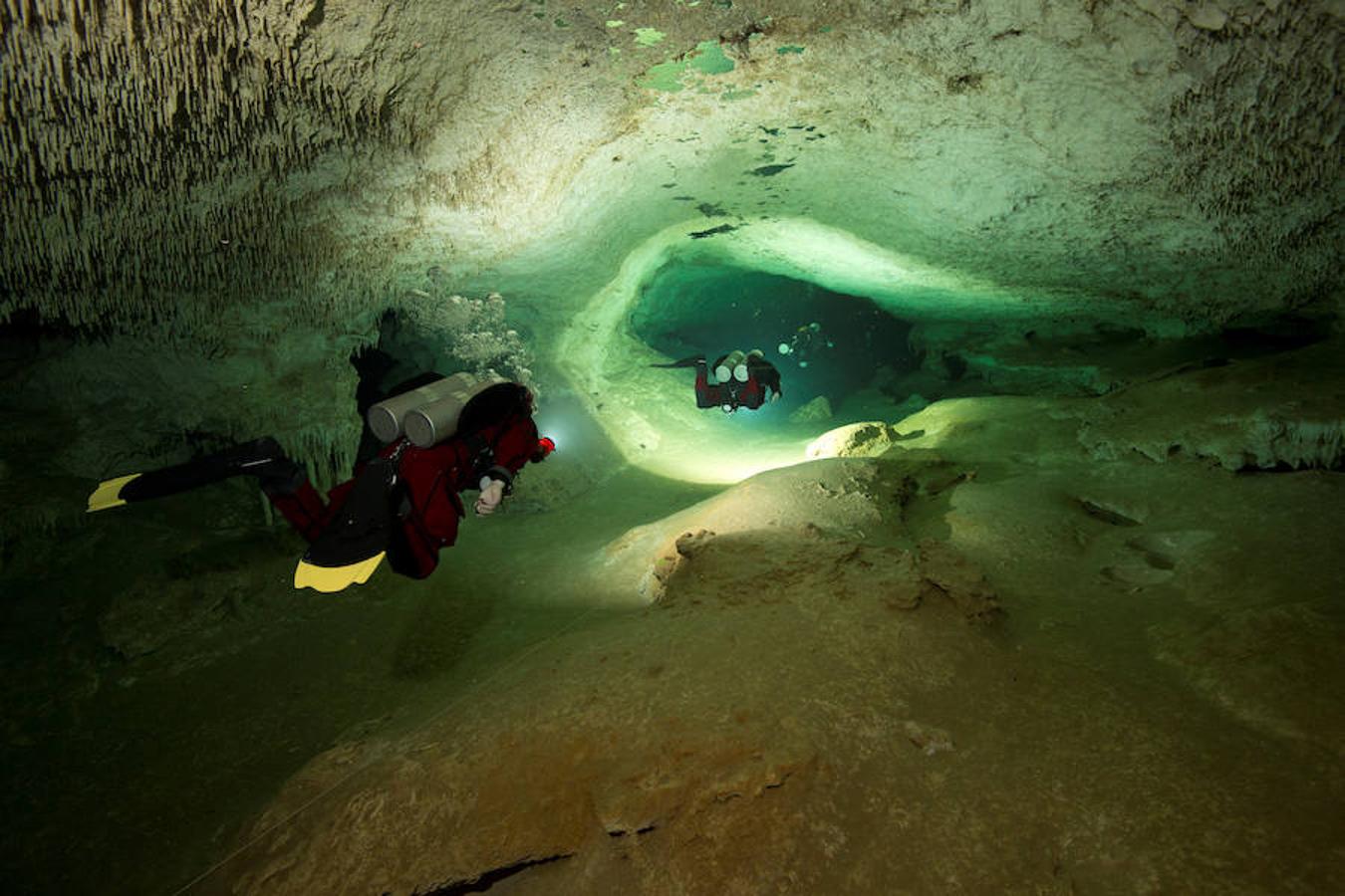 Catorce años de exploración han pasado para que la humanidad haya podido conocer la mayor cueva inundada del mundo, de 347 kilómetros de longitud, gracias a los buzos del proyecto Gran Acuífero Maya, quienes además ha confirmado el hallazgo del yacimiento arqueológico sumergido más importante del planeta. El histórico descubrimiento se ha registrado al encontrarse la conexión de los dos sistemas de cuevas inundadas conocidos como Sac Actun (263 kilómetros de longitud) y Dos Ojos (84 kilómetros) en Tulum, en el caribeño estado mexicano de Quintana Roo.