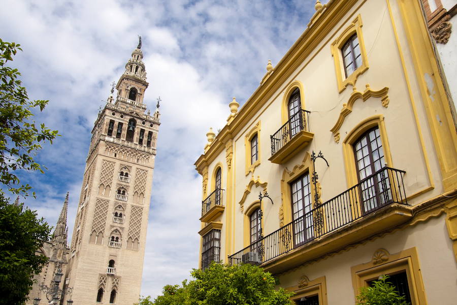 SEVILLA | Rastreator ha dado a conocer los destinos más buscados, a través de su portal. En el listado de los 15 municipios que mayor interés muestran los viajeros como posibles destinos se encuentran 4 localidades de la Comunitat Valenciana. Madrid, Benidorm, Barcelona, Gran Canaria, Valencia, Sevilla, Tenerife, Málaga, Salou y Granada forman el top 10. En las siguientes posiciones se encuentran Peñíscola y Gandia.