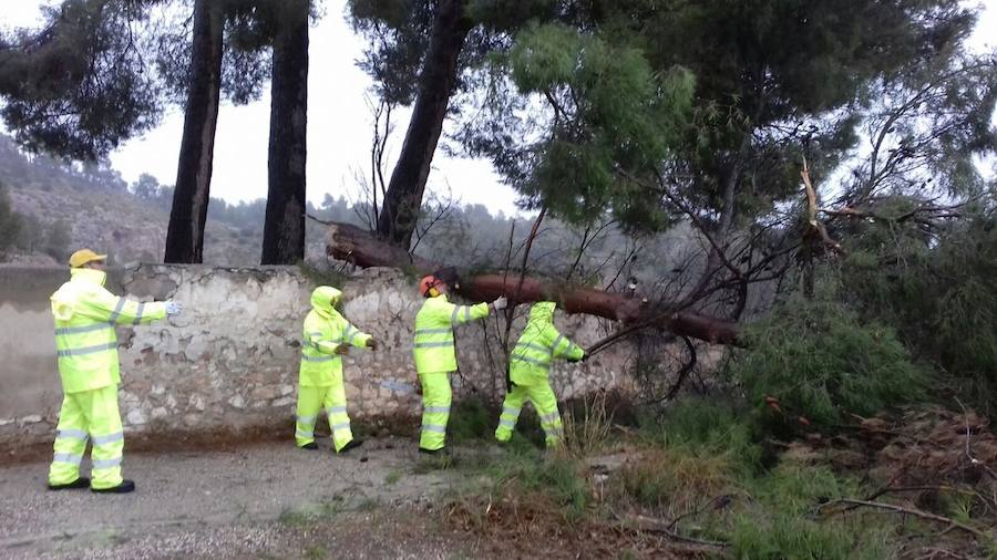 Fotos del temporal en la Comunitat Valenciana