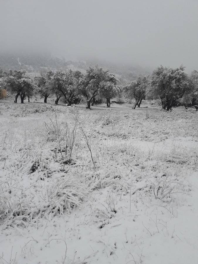 Fotos de nieve en la provincia de Alicante y de Valencia