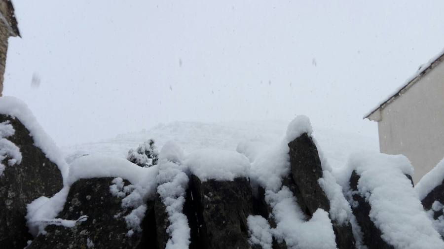 Fotos de la gran nevada en Valencia y Castellón