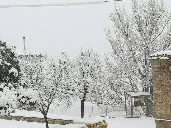 Fotos de la gran nevada en Valencia y Castellón