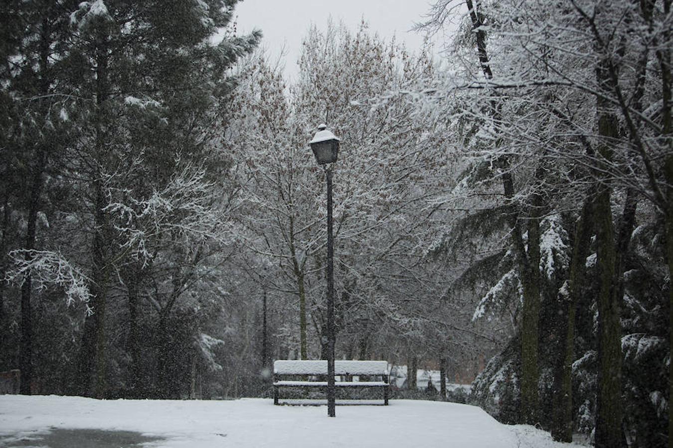 Un banco cubierto por la nieve.