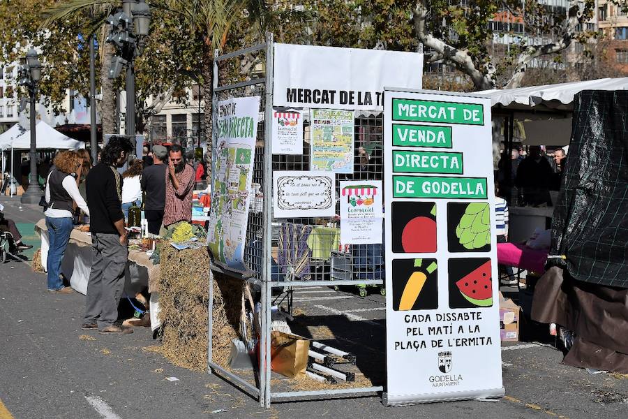 La plaza del Ayuntamiento de Valencia acogió el pasado domingo 11 de febrero la tercera edición del mercado de proximidad 'De l'Horta a la Plaça', en el que 55 productores y diez puestos de distribución compartieron el céntrico enclave de la ciudad con talleres, charlas y música. La propuesta de fomento de la producción agrícola de proximidad organizada por la Concejalía de Agricultura y Pueblos de Valencia arrancó a las 10 de la mañana con actividades divulgativas, culturales y lúdicas.