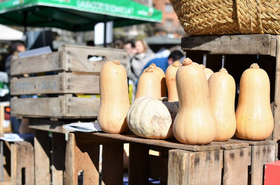 La plaza del Ayuntamiento de Valencia ha acogido este domingo la tercera edición del mercado de proximidad 'De l'Horta a la Plaça', en el que 55 productores y diez puestos de distribución han compartido el céntrico enclave de la ciudad con talleres, charlas y música. La propuesta de fomento de la producción agrícola de proximidad organizada por la Concejalía de Agricultura y Pueblos de Valencia arrancó a las 10 de la mañana con actividades divulgativas, culturales y lúdicas.