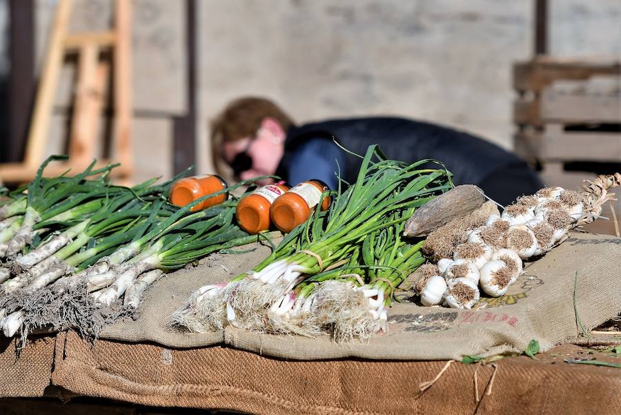 La plaza del Ayuntamiento de Valencia ha acogido este domingo la tercera edición del mercado de proximidad 'De l'Horta a la Plaça', en el que 55 productores y diez puestos de distribución han compartido el céntrico enclave de la ciudad con talleres, charlas y música. La propuesta de fomento de la producción agrícola de proximidad organizada por la Concejalía de Agricultura y Pueblos de Valencia arrancó a las 10 de la mañana con actividades divulgativas, culturales y lúdicas.