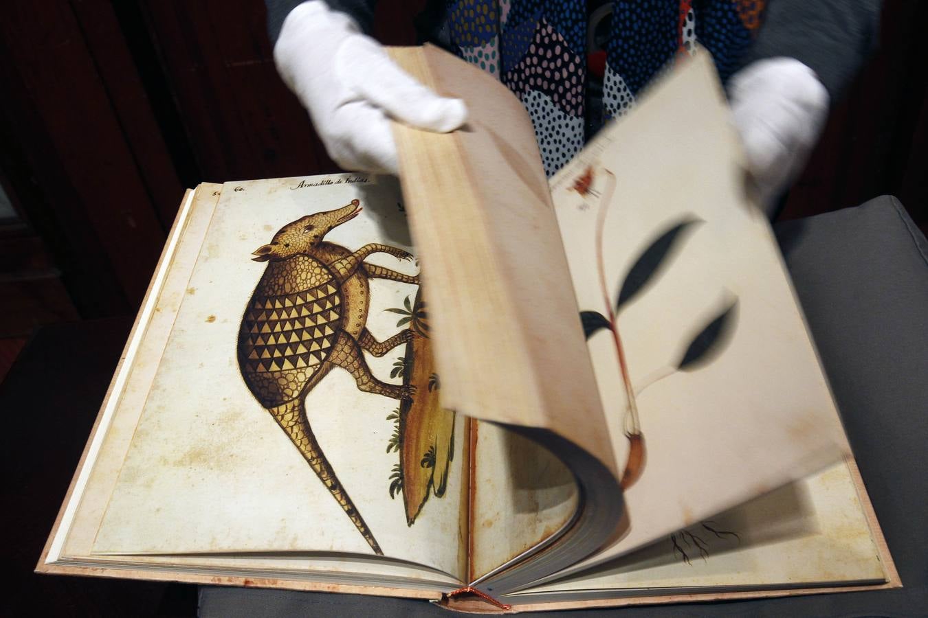 Fotos: Fotos de las joyas manuscritas e incunables de la exposición de la Universitat de València